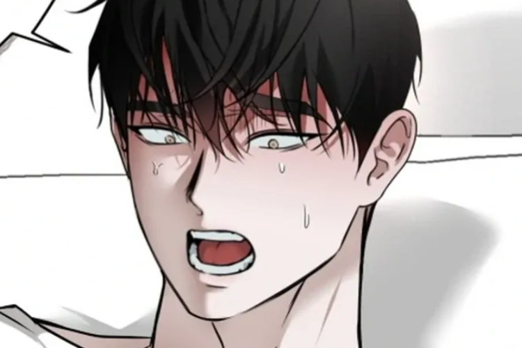 Already Hooked! Spoiler and Reading Link BL Manhwa Idol's Diary Chapter 6 English Translation